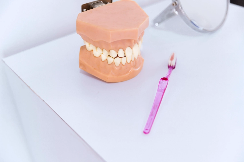 close up teeth model toothbrush table