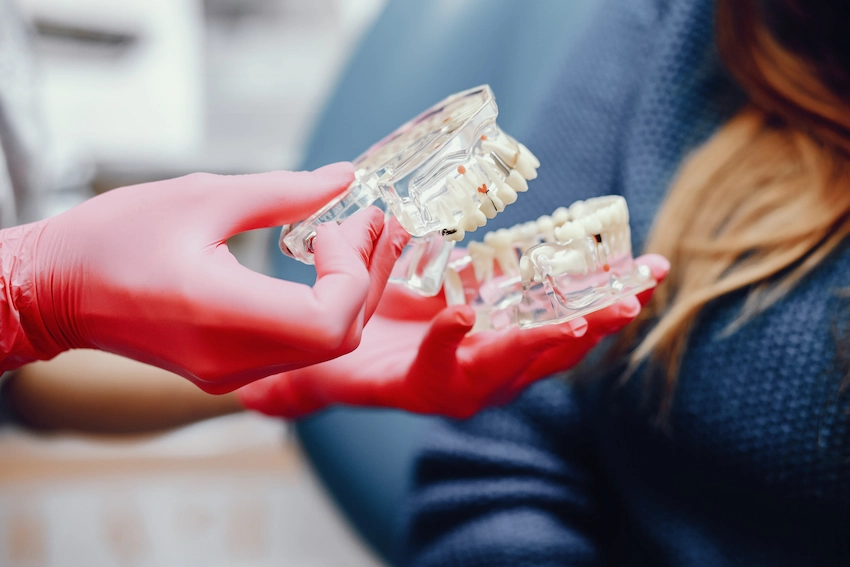 artificial jaw dentist s office artificial jaw dentist s office
