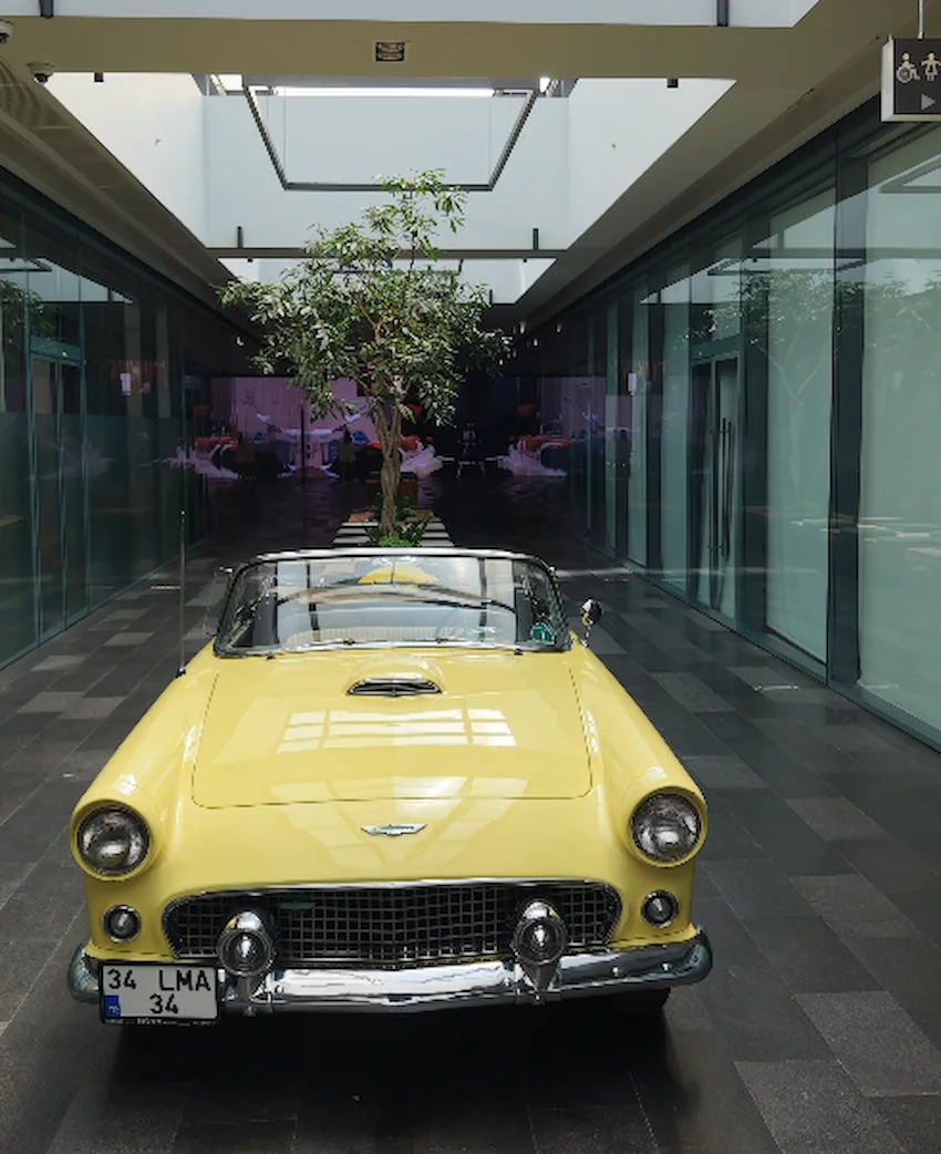 lema clinic marina interior classic car
